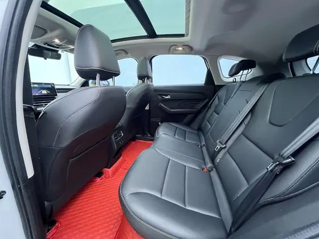 Haval Haval Red Rabbit Jinxiang Edition 1.5T Copper Rabbit