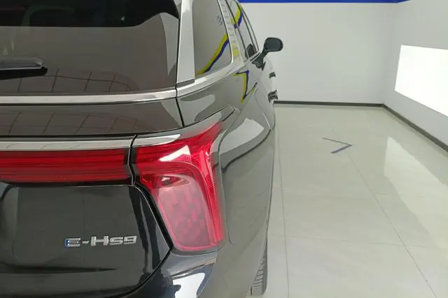 Hongqi Hongqi E-HS9 460km Flag Enjoy edition six seats