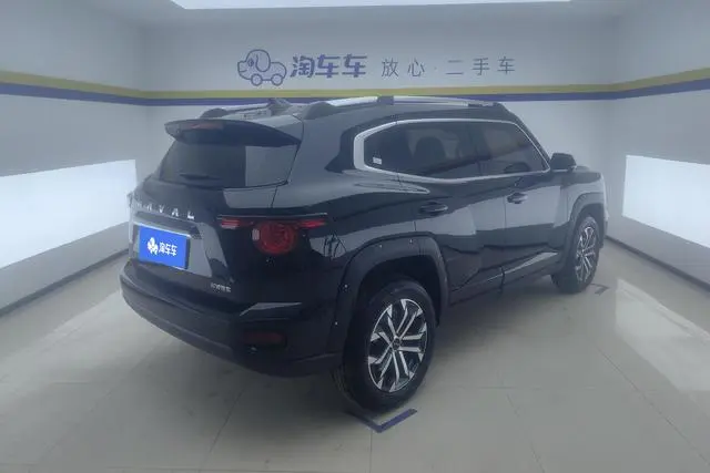 Haval Haval Big Dog PLUS 2.0T two-wheel drive Tide Wild edition Plus