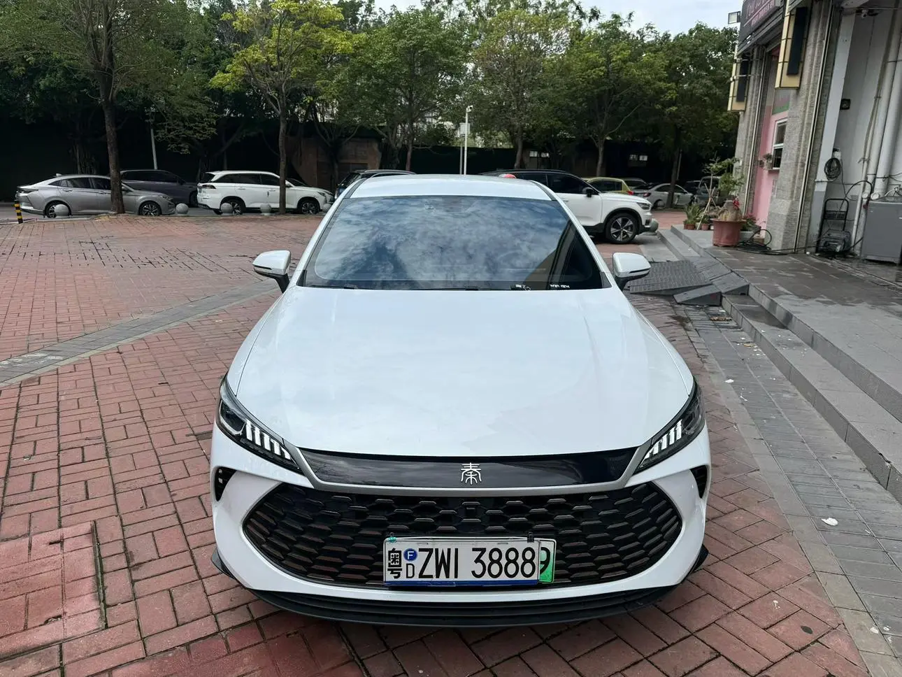 BYD Qin PLUS DM Smart driving version DM-i 55KM leading type