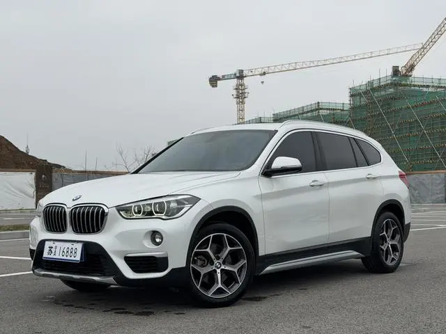 BMW BMW X1 sDrive18Li Exclusive type