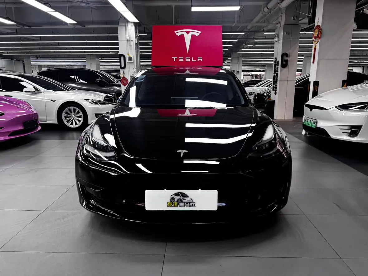 Tesla Model 3 Rear-wheel drive version