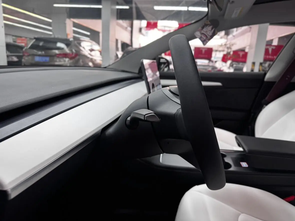 Tesla Model 3 Standard battery life rear drive upgraded version 3D6