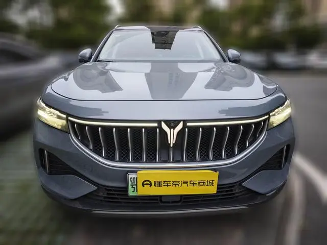 VOYAH Lan Tu FREE Four-wheel drive standard range extension exclusive luxury set