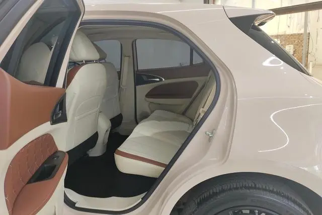 Ora Euler good cat 401km luxury