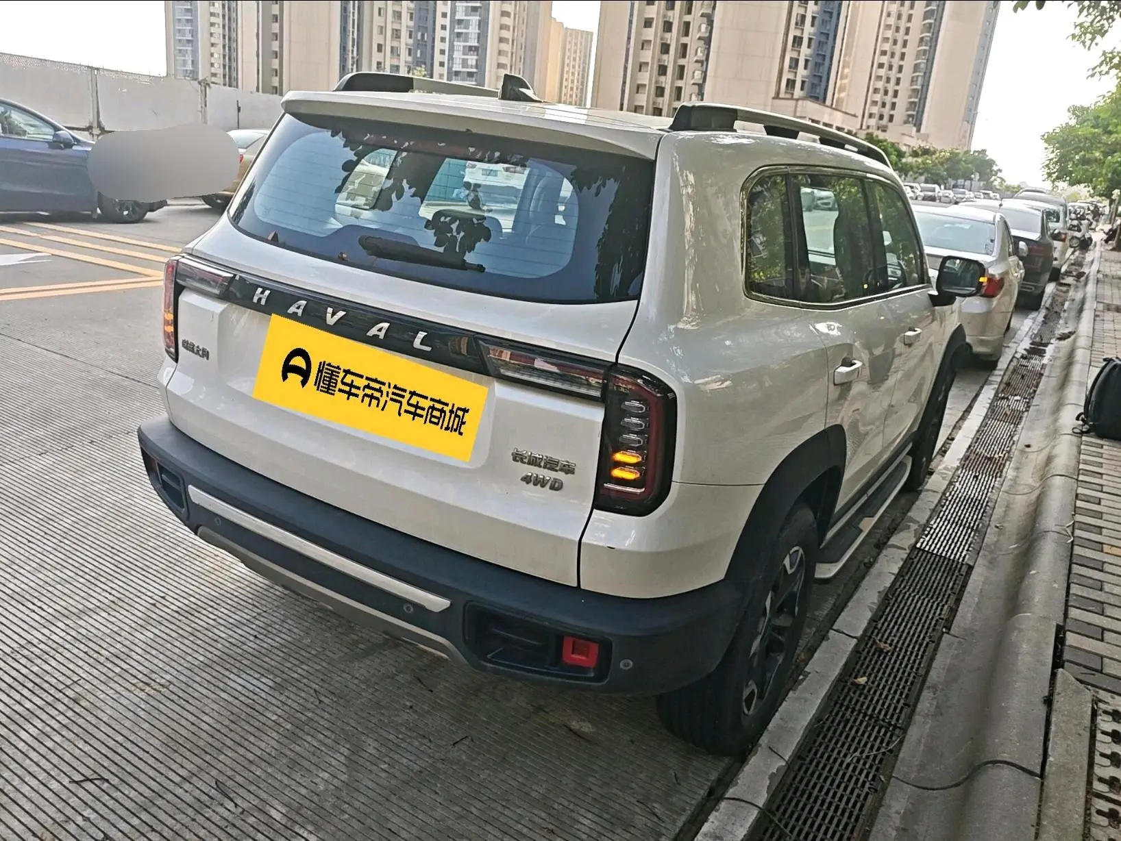 Haval Haval Big Dog 2.0T four-wheel drive Chinese Garden dog Version
