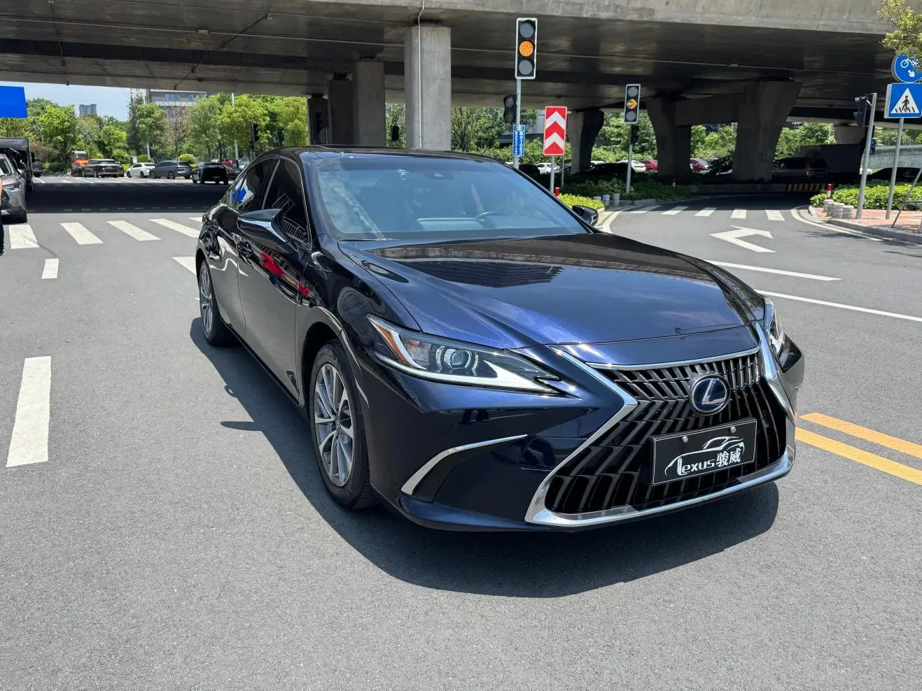 Lexus Lexus ES 300h Excellent Edition