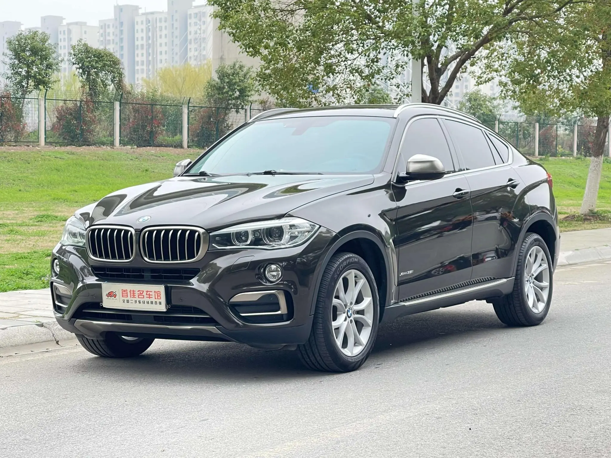 BMW BMW X6 xDrive35i leading type