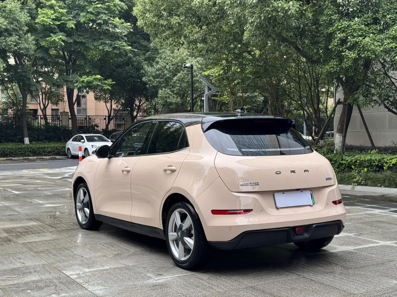 Ora Euler good cat 400km standard battery life Venus version lithium iron Phosphate battery