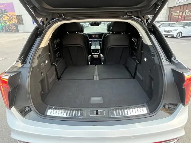Hongqi Hongqi E-HS9 690km Flag Enjoy edition six seats