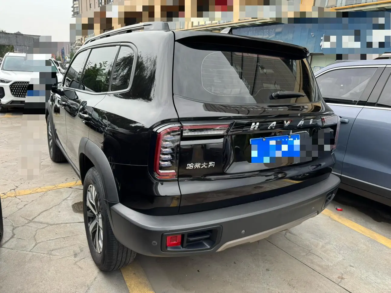 Haval Haval Big Dog 1.5T two-wheel drive Labrador version