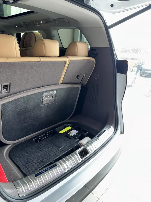 Denza Denza D9 DM 980 four-wheel drive flagship