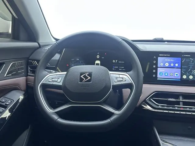 SOL Sihao X8 PLUS 1.5TGDI DCT Zhijia Edition 6/7 Seats