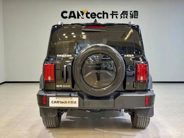 Tank Tank 300 2.0T Conqueror