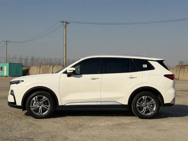 Ford Ling Rui EcoBoost 170 smooth collar type