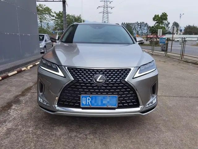 Lexus Lexus RX 300 four-wheel drive elegant version of the country VI