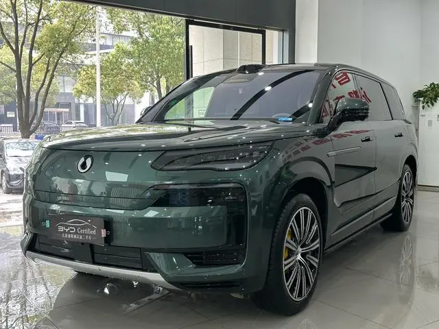 Denza Denza N9 DM Flagship type