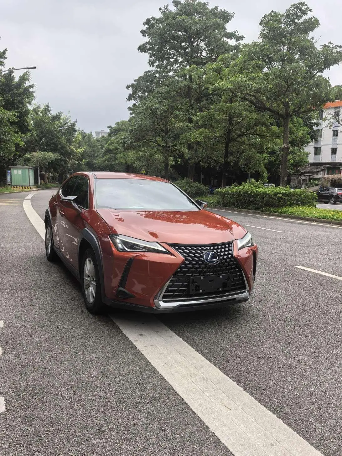 Lexus Lexus UX 260h Exploration*Cool Edition Country VI