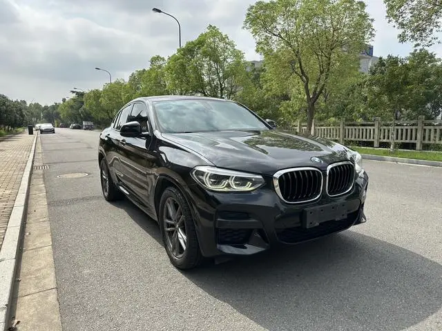 BMW BMW X4 xDrive25i Black Knight Limited Edition