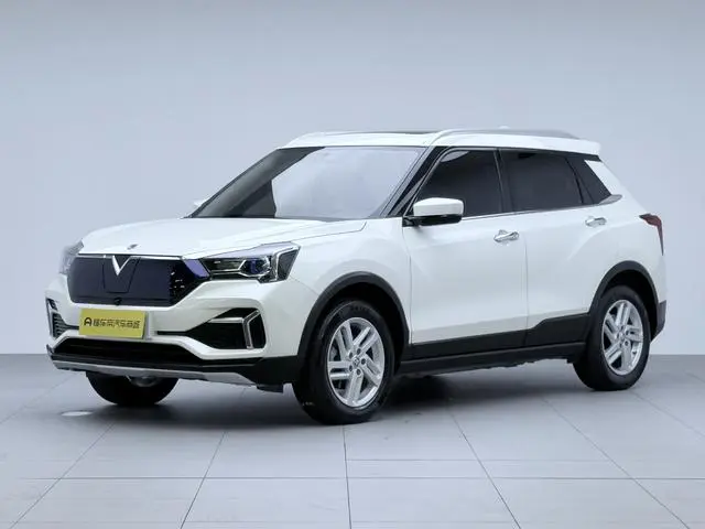 Venucia Qichen T60 EV AI Enjoy type