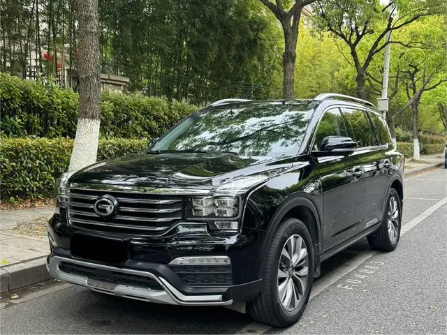 GAC Trumpchi GS8 320T two-wheel drive luxury Zhilian Edition 7 seats