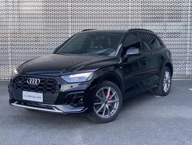 Audi Audi Q5L 45TFSI luxury dynamic type