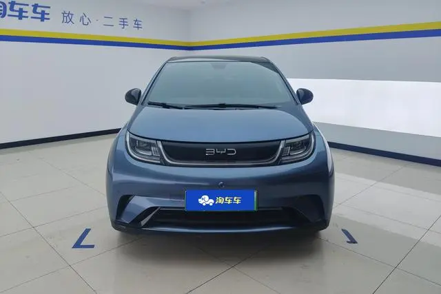 BYD dolphin 420KM fashion version