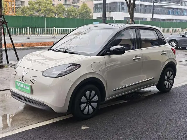 Wuling Wuling Bingguo 410KM Lingyi Exclusive Model
