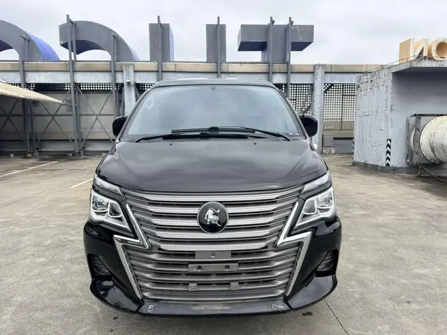 Dongfeng Fengxing Lingzhi M5L 1.6L luxury 7-seater