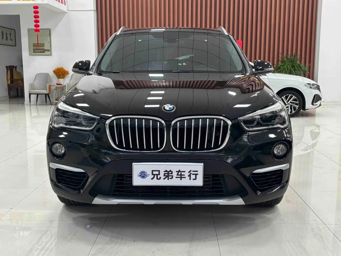 BMW BMW X1 xDrive20Li Exclusive type