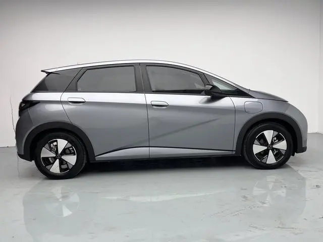 BYD dolphin Fashion edition