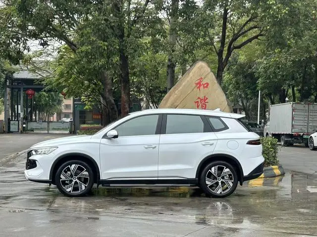 BYD Song Pro DM DM-i Champion Edition 110km Transcendent Type
