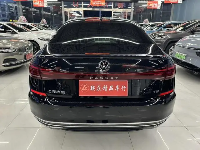 Volkswagen Passat 330TSI Starry Sky Deluxe Edition
