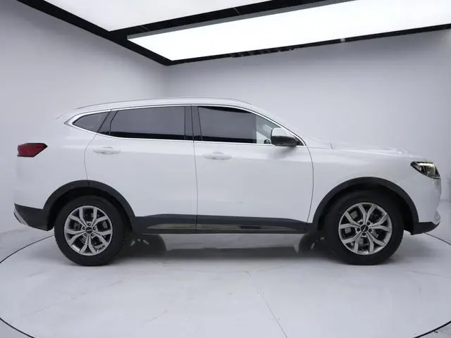 Haval Haval H6 National Tide Version 1.5T Automatic Champion Version