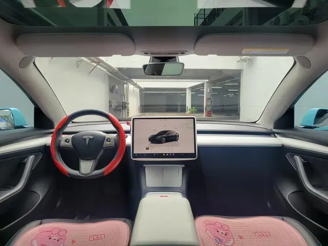 Tesla Model 3 Rear-wheel drive version
