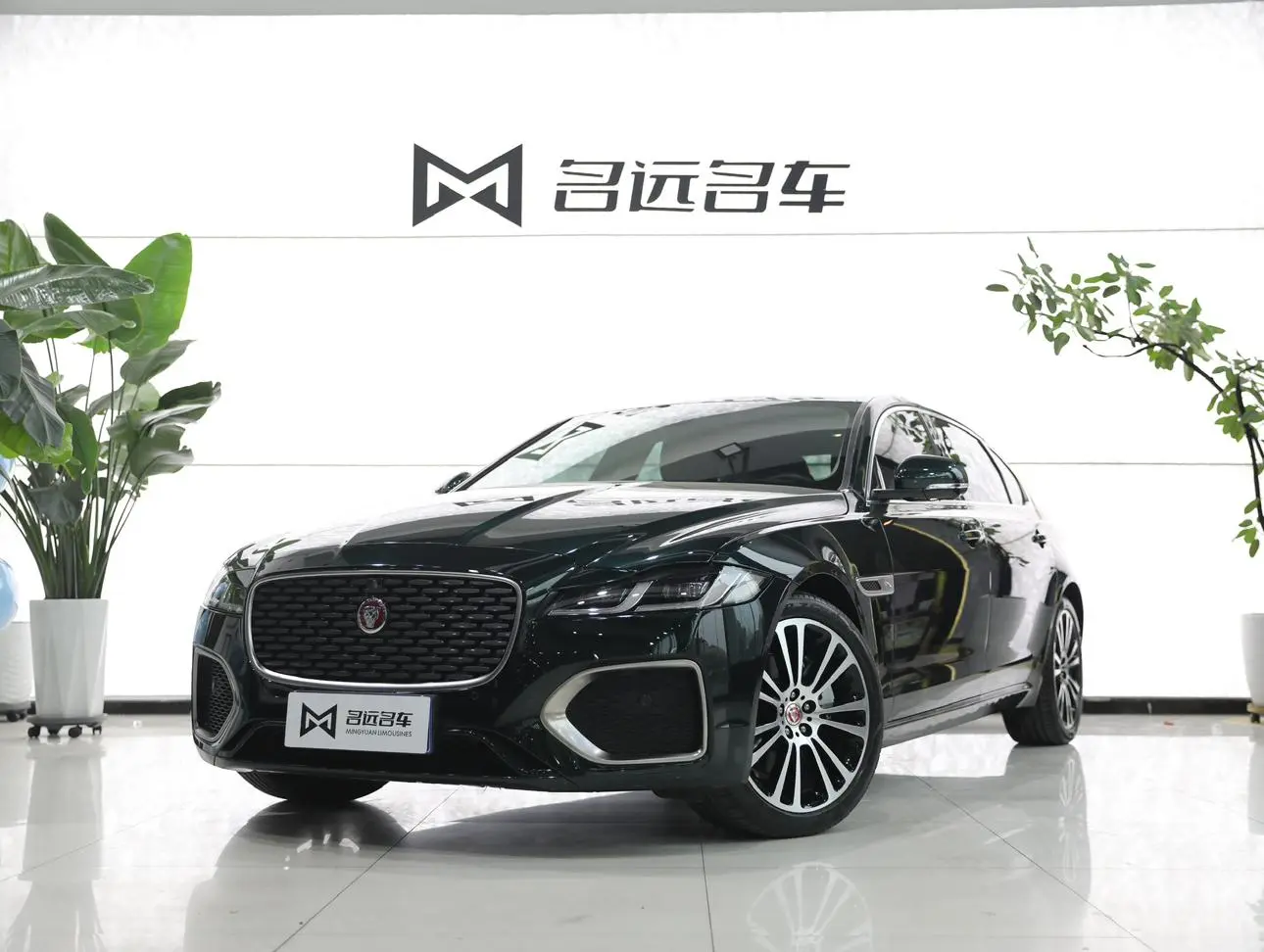 Jaguar Jaguar XFL 2.0T P250 two-wheel drive Exclusive Deluxe Edition