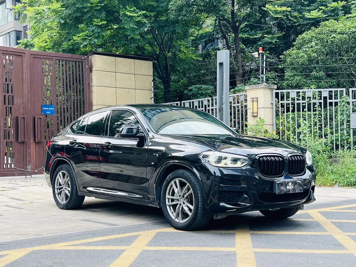 BMW BMW X4 xDrive25i M sports suit