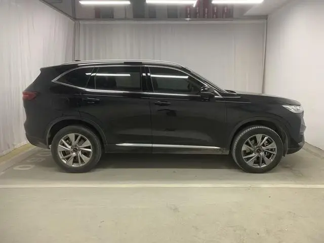 Haval Haval H6 PHEV 1.5T DHT-PHEV 110km smooth version