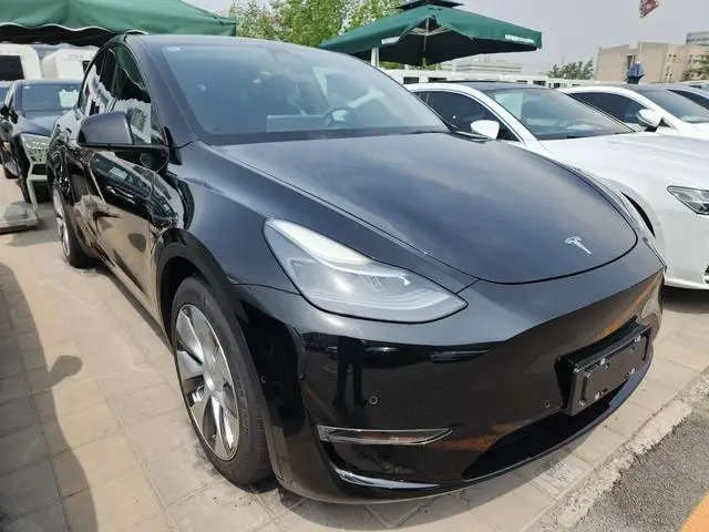 Tesla Model Y Rear-wheel drive version