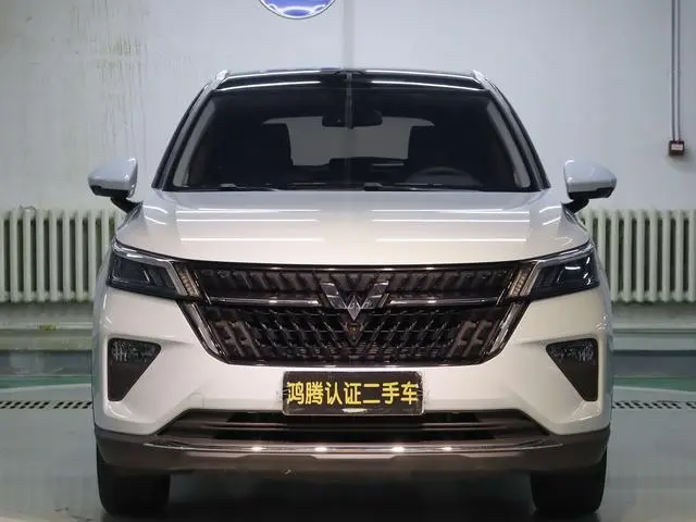 Wuling Wuling Xingchen 2.0L DHT electric speed model