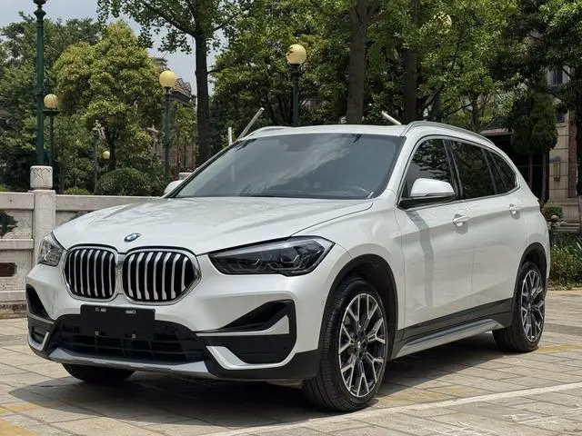 BMW BMW X1 xDrive25Li Exclusive type