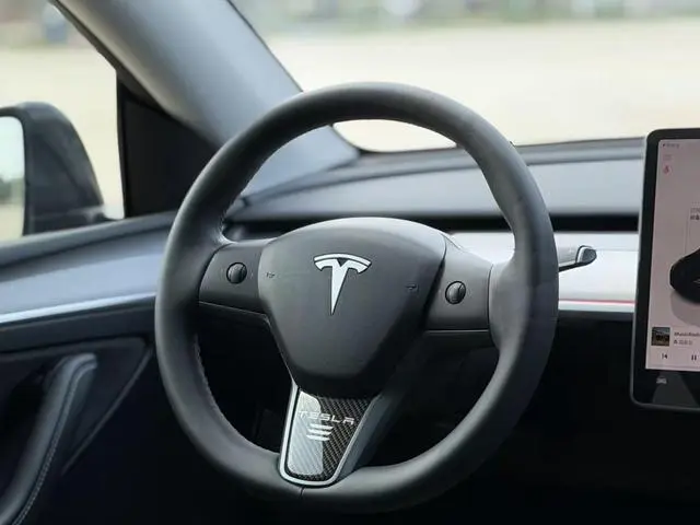 Tesla Model Y Rear-wheel drive version