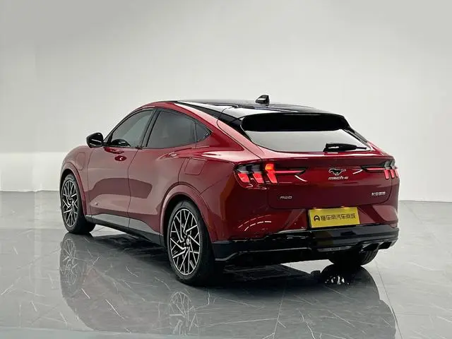 Ford Ford electric Horse GT