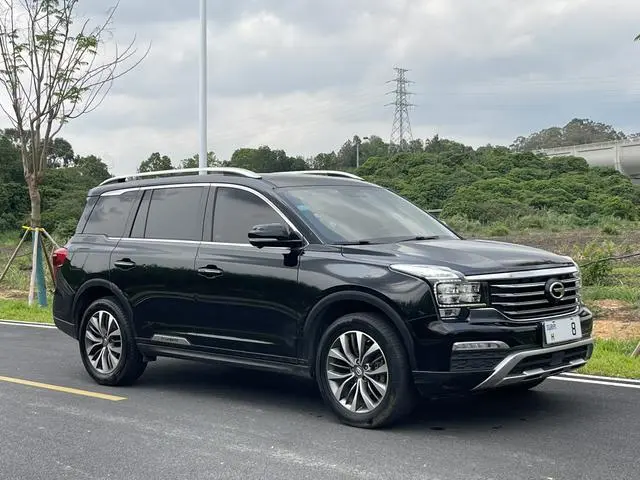 GAC Trumpchi GS8 320T two-wheel drive luxury Zhilian Edition 7 seats