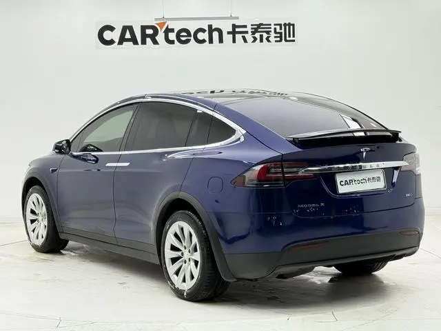 Tesla Model X 100D long battery life version