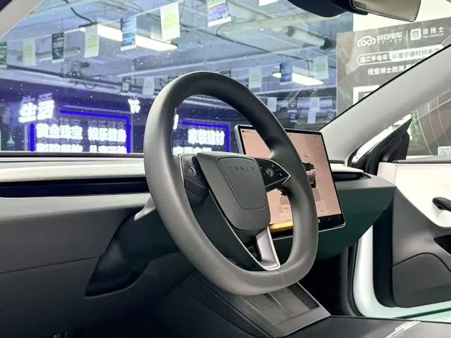 Tesla Model 3 Rear-wheel drive version