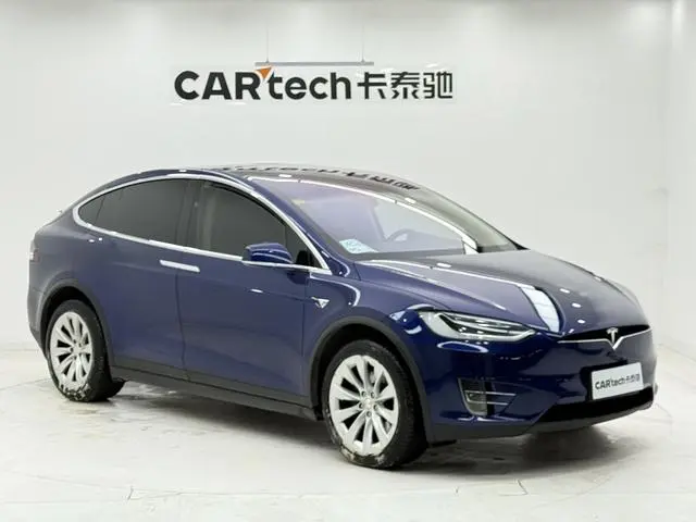 Tesla Model X 100D long battery life version
