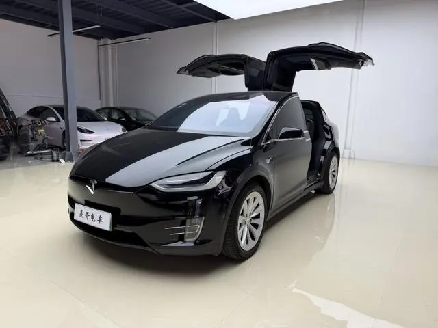 Tesla Model X 100D long battery life version
