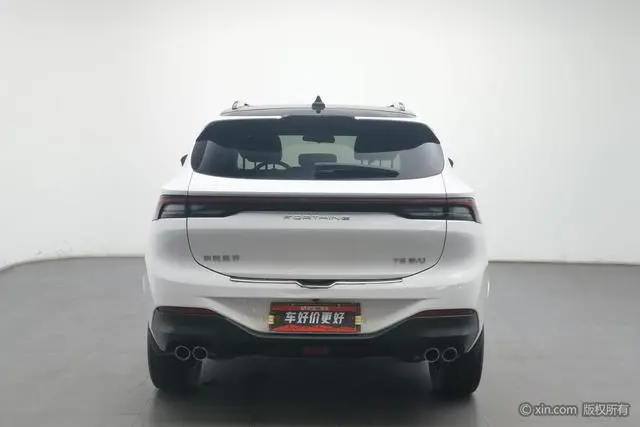 Dongfeng Fengxing Popular T5 EVO 1.5TD DCT Diamond Edition