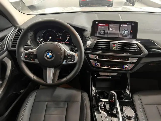 BMW BMW X3 xDrive25i M sports suit country VI